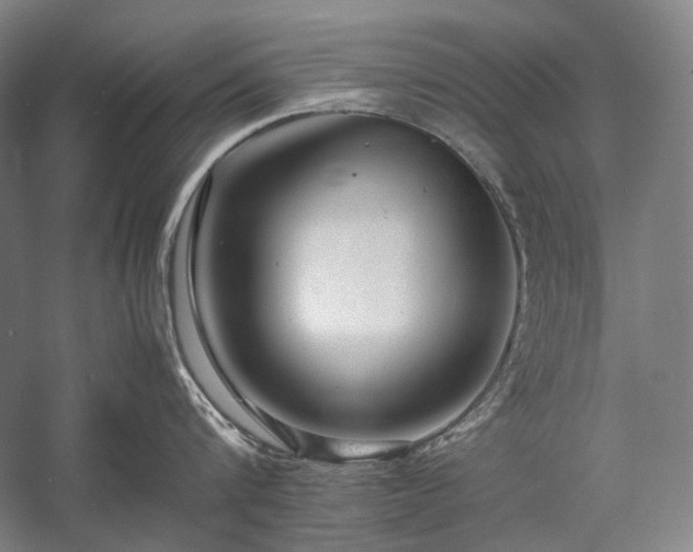 X0000057100816200509091202