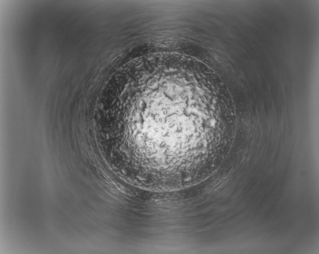 X0000057100817200509091201