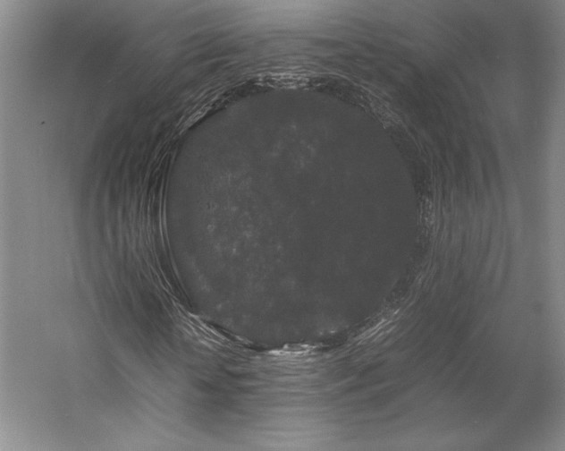 X0000057100818200509091201