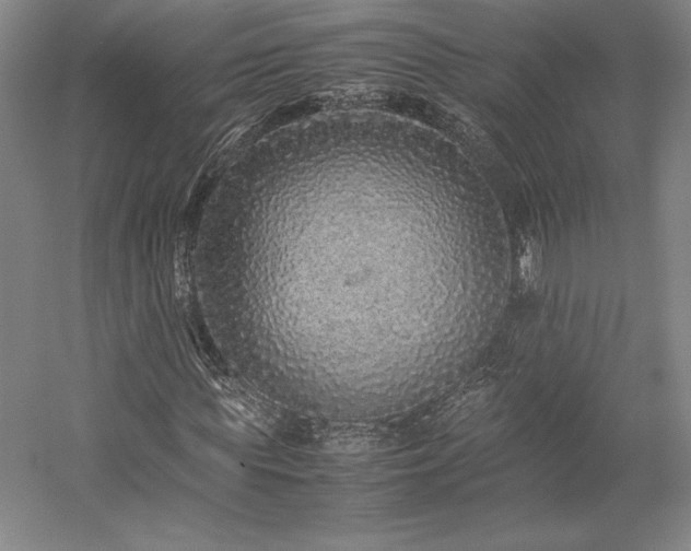 X0000057100819200509091201