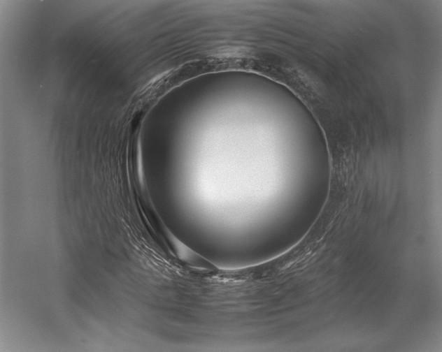 X0000057100821200509091201