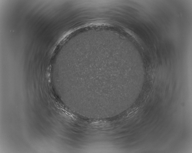 X0000057100823200509091201