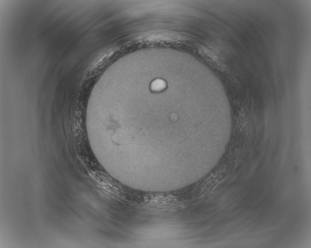 X0000057100824200509091201