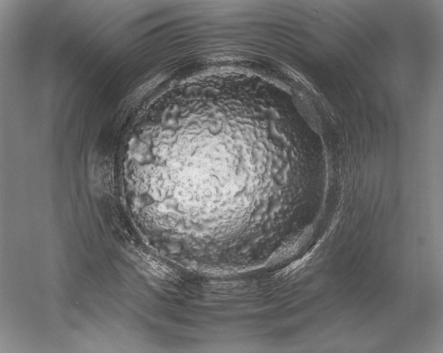 X0000057100825200509091201