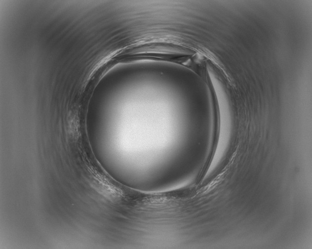 X0000057100826200509091201