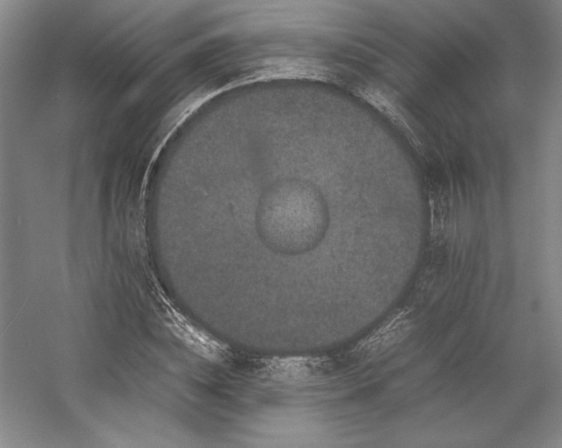 X0000057100828200509091201