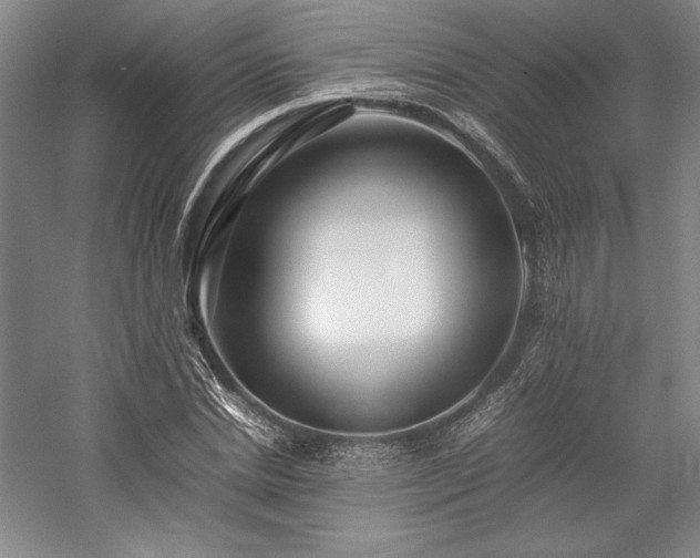 X0000057100830200509091201