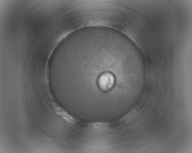 X0000057100832200509091201