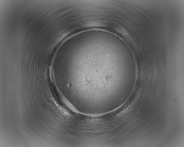 X0000057100833200509091201