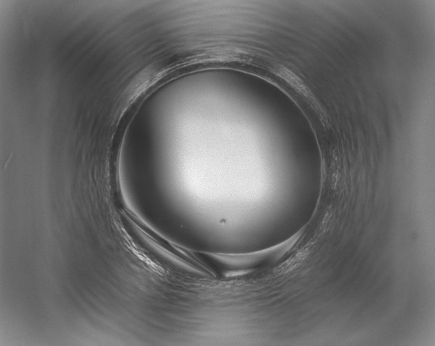 X0000057100834200509091201