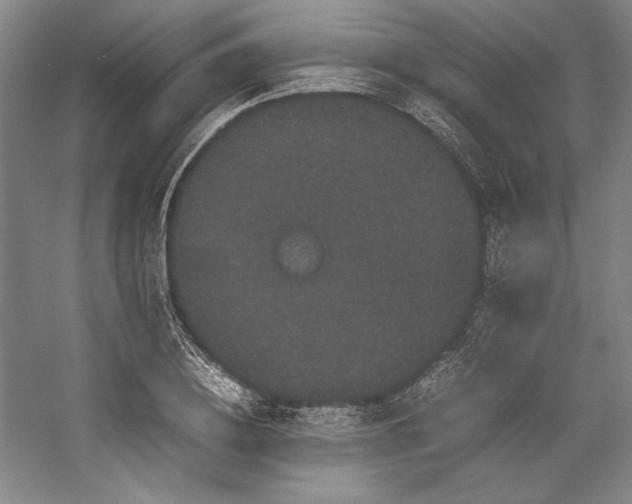 X0000057100836200509091201