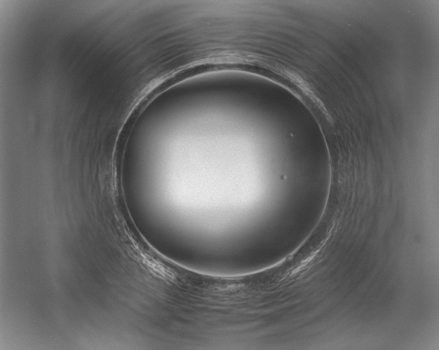 X0000057100837200509091201