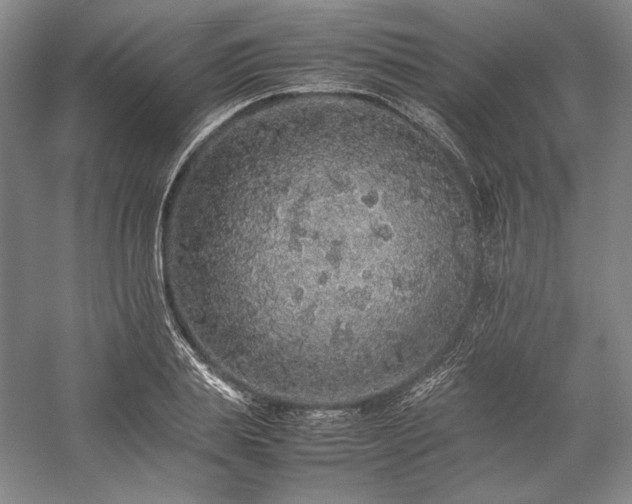 X0000057100839200509091201