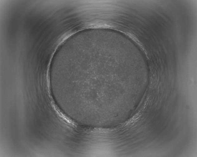 X0000057100840200509091201