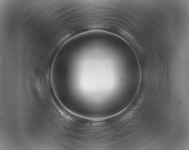 X0000057100841200509091201