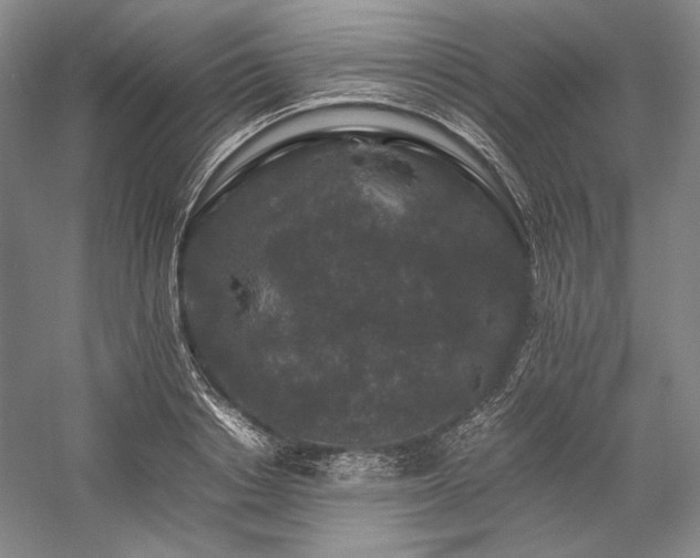 X0000057100842200509091201