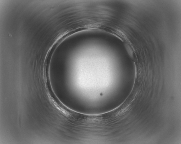 X0000057100843200509091201