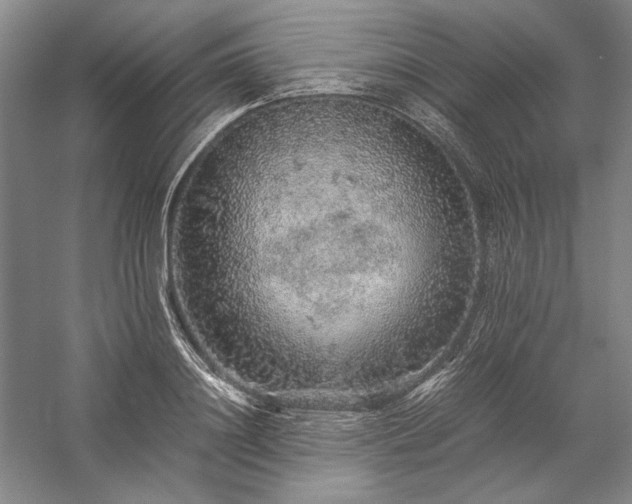 X0000057100844200509091201