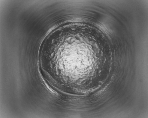 X0000057100845200509091201