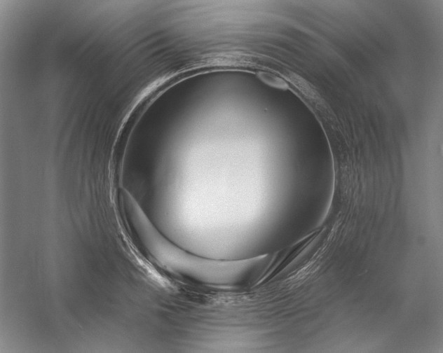 X0000057100846200509091201