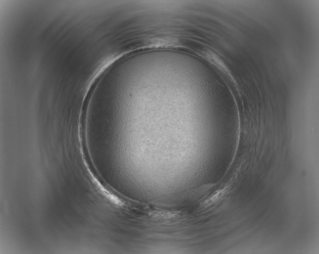 X0000057100847200509091201