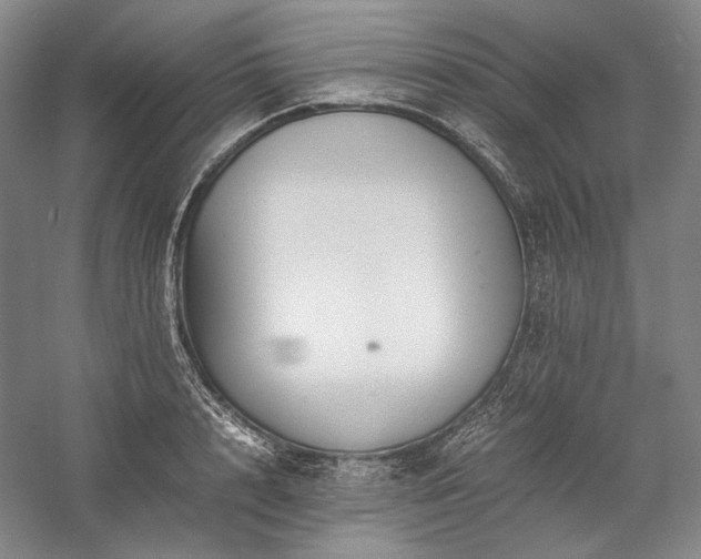 X0000057100848200509091201