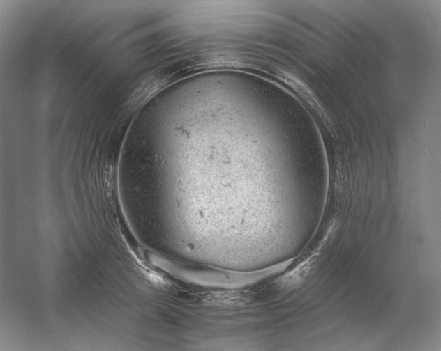 X0000057100849200509091201