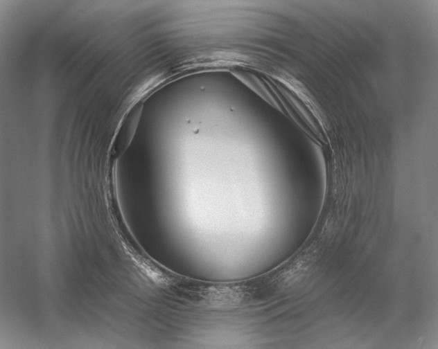 X0000057100850200509091201