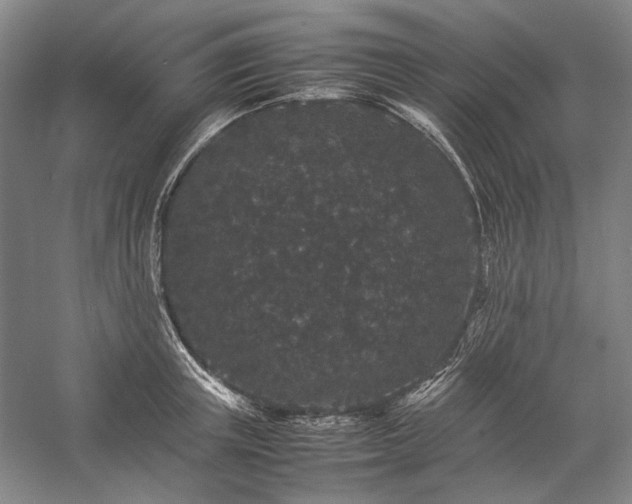 X0000057100851200509091201