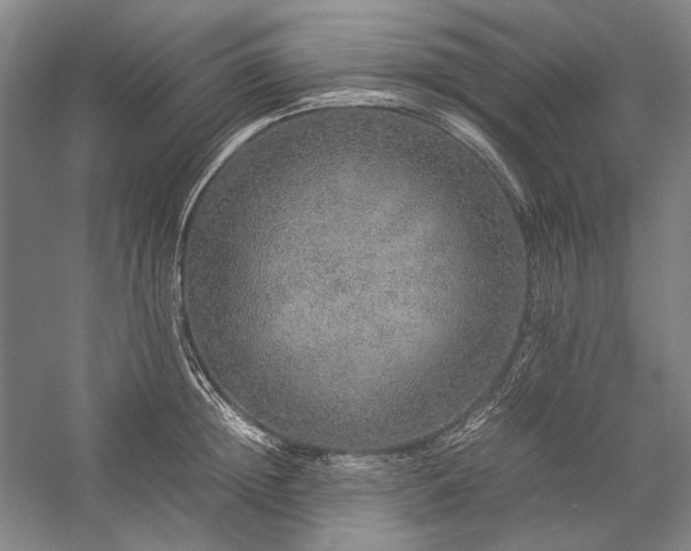 X0000057100852200509091202