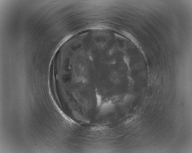 X0000057100853200509091202