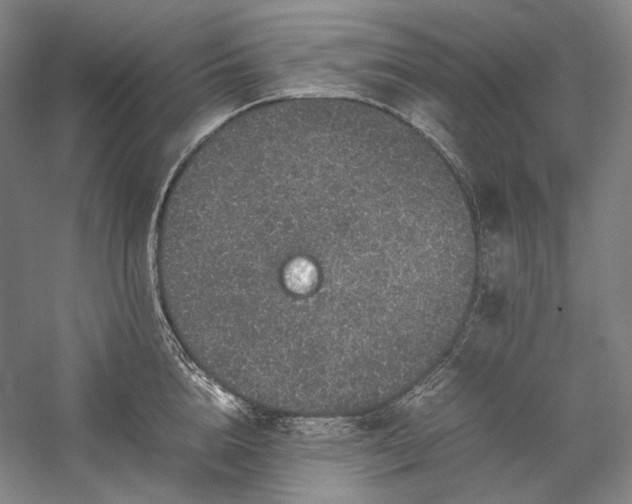 X0000057100856200509091202