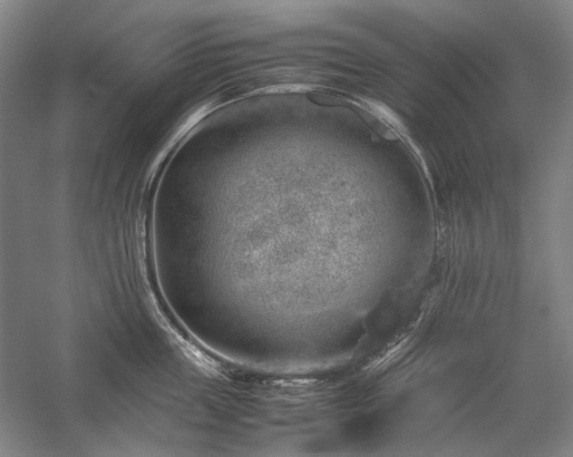 X0000057100859200509091202