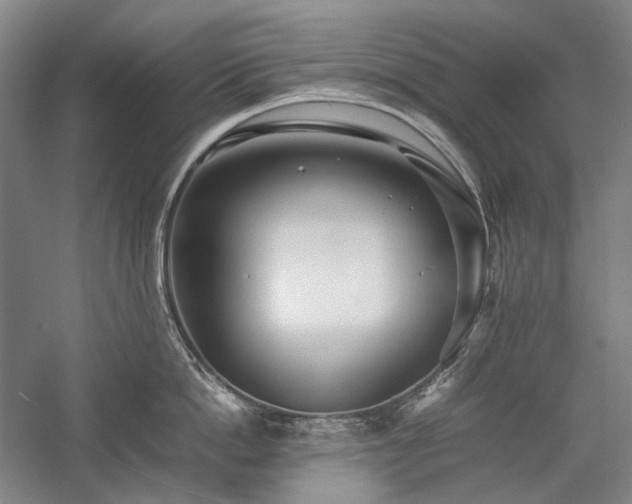 X0000057100862200509091202