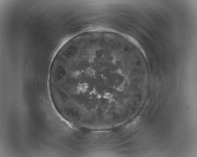 X0000057100863200509091202