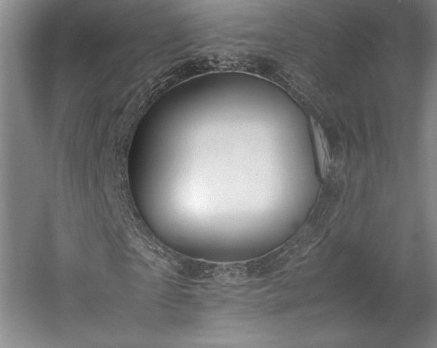 X0000057100865200509091201