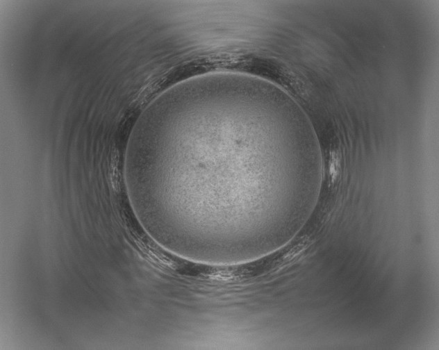 X0000057100867200509091201