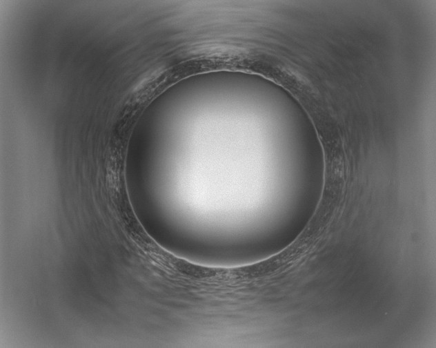 X0000057100869200509091201