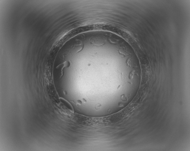 X0000057100871200509091201