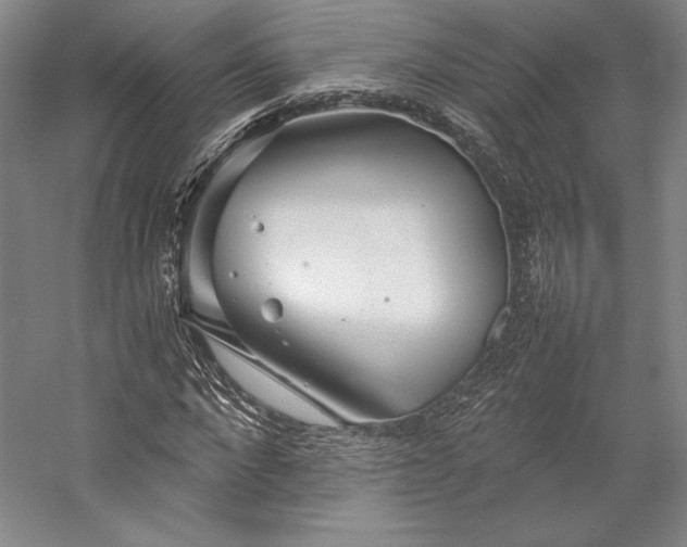 X0000057100872200509091201