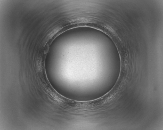 X0000057100873200509091201