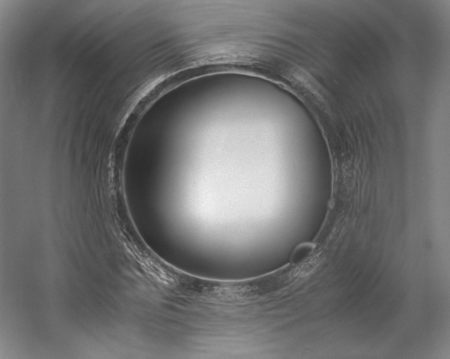 X0000057100875200509091201