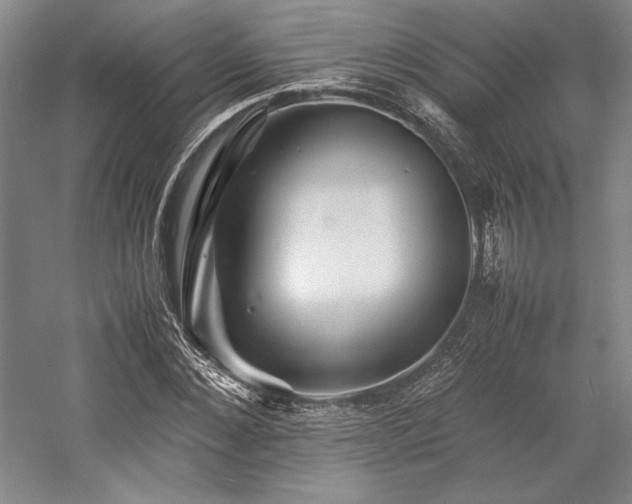 X0000057100876200509091201