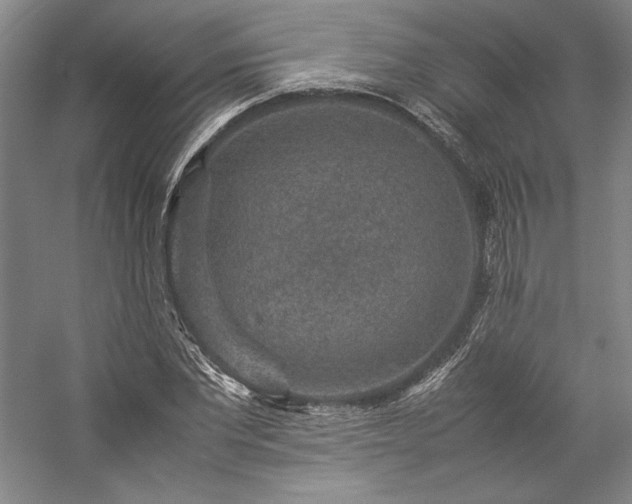 X0000057100877200509091201