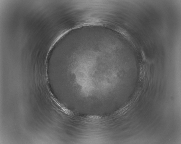 X0000057100878200509091201