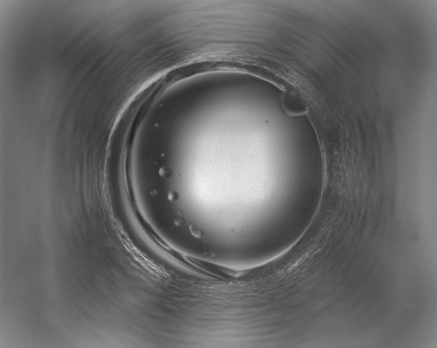 X0000057100880200509091201