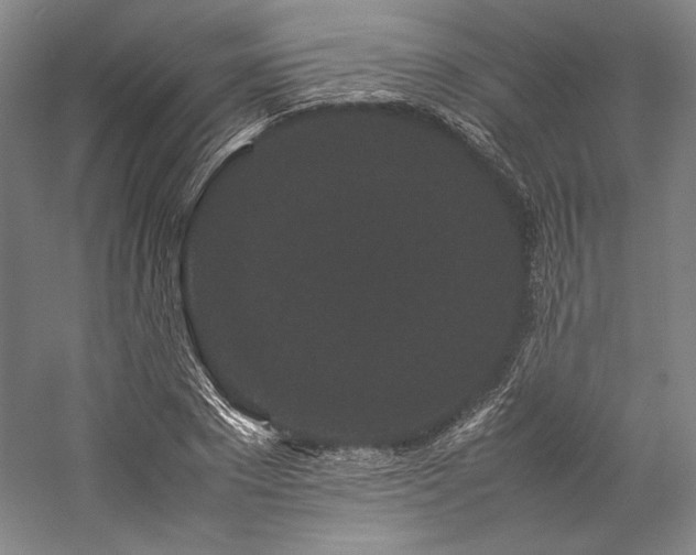 X0000057100881200509091201