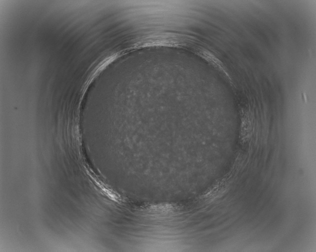 X0000057100882200509091201