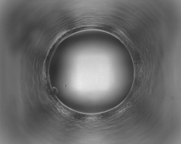 X0000057100883200509091201