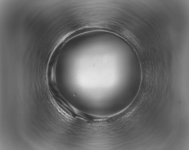 X0000057100884200509091201